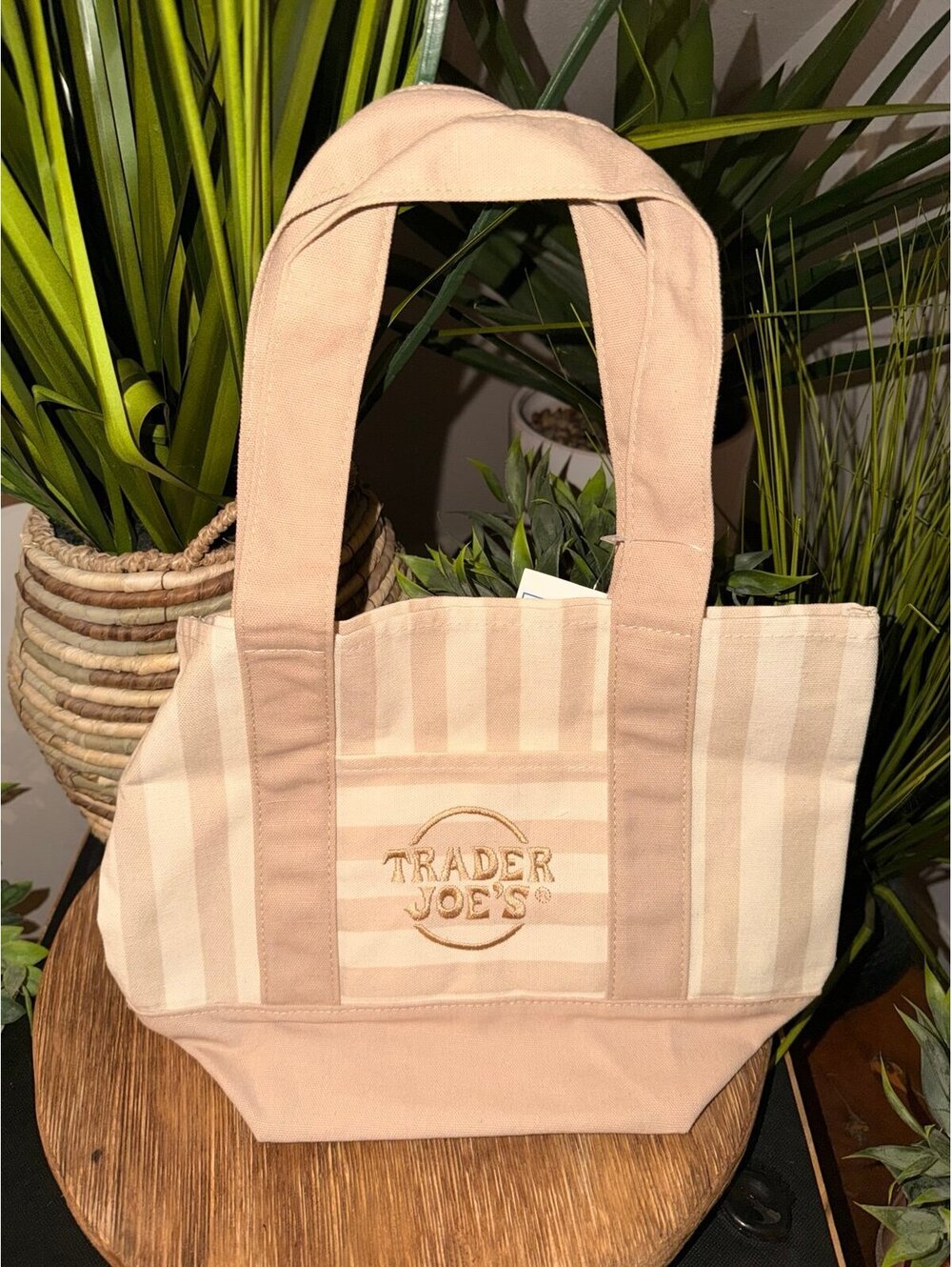 Trader Joe's Striped Canvas Tote Bag